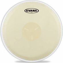 Evans EB0709 Bongo Derisi