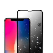Evastore Apple İphone Xs 5.8 Anti-Dust Mat Privacy Temperli Ekran Koruyucu