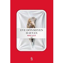 Eve Dönmeyen Hayvan - Murat Çelik