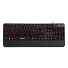 Everest Kb-r61 Işıklı Klavye