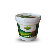 Evergreen Çim Besleme ve Şok Tedavi Gübresi 30-5-10 - 10 kg
