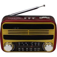Everton RT 310 Radyo