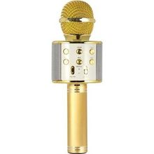 Evervox EVR KRK 02 Gold Karaoke Mikrofon