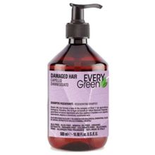 EveryGreen Yeniden Yapılandırıcı ve Onarıcı Damaged Hair 500 ml Yıpranmış Saçlar Şampuan