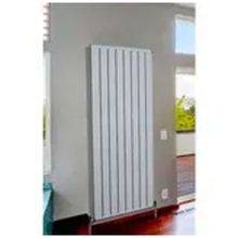 Evimbiz Alüminyum 1200x5 Dilim 40 cm Radyatör