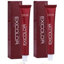 Exicolor 0.01 Yoğun Gri 2x60 ml Saç Boyası