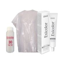 Exicolor 30 Volüm Peroksit + Boya Naylonu + Gümüş Rüya 60 ml Tüp Saç Boyası