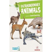 Extraordinary Animals - Sarah Sweeney
