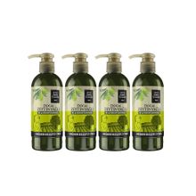 Eyüp Sabri Tuncer 250 ml x 4 Adet Doğal Zeytinyağlı El Ve Vücut Losyonu