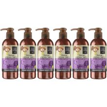 Eyüp Sabri Tuncer 250 ml x 6 Adet Doğal Argan Yağlı El ve Vücut Losyonu
