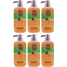 Eyüp Sabri Tuncer Doğal Argan Yağlı 6x600 ml Duş Jeli