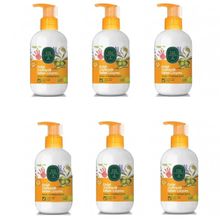 Eyüp Sabri Tuncer Doğal Zeytinyağlı 6x280 ml Bebek Losyonu