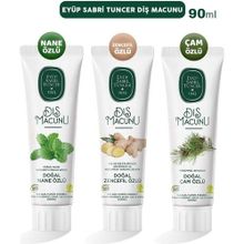 Eyüp Sabri Tuncer Nane + Zencefil + Çam 3x90 ml Diş Macunu