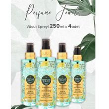 Eyüp Sabri Tuncer Soul Beauty 4x250 ml Vücut Spreyi
