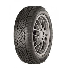 Falken 205/45 R16 87H XL Eurowinter HS02 Kış Lastiği