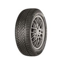 Falken 225/45 R18 95V XL Eurowinter HS02 Pro Kış Lastiği 2023