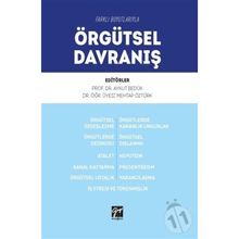 Farklı Boyutlarıyla Örgütsel Davranış - Aykut Bedük