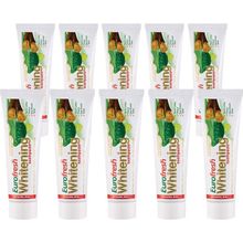 Farmasi Aloe Vera Misvaklı 10x112 gr Diş Macunu