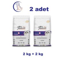 Felicia 2x2 KG Somonlu Kısır Kedi Maması