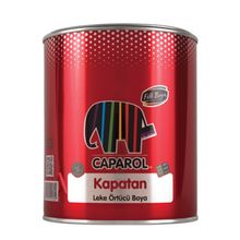 Filli Boya 0.25 lt Beyaz Kapatan Leke Ve İs Örtücü Astar