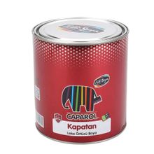 Filli Boya Caparol 2.5lt Kapatan