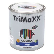 Filli Boya Caparol Trimaxx Siyah 2.5 lt Mat Sentetik Boya