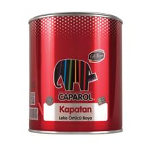 Filli Boya Kapatan 0.75 lt Leke Örtücü Boya