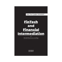 FinTech and Financial Intermediation in Small Business Lending - Astana Yayınları