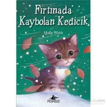 Fırtınada Kaybolan Kedicik - Holly Webb