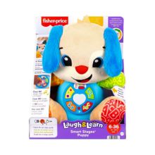 Fisher Price JFD25 Eğitici Köpekçik