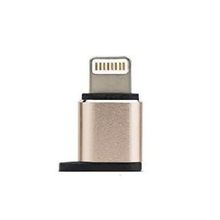 FitPlus Micro to Lightning Çevirici Gold Adaptör