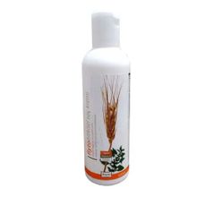 Fiyto Buğday Özlü 500 ml Saç Kremi