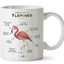Flamingo Anatomisi Flamingo Anatomy Baskılı Kupa