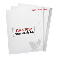 Flex 1-20 80 gr A4 Kağıt