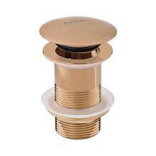 Fontana DR - 06 Rose Sifon Üst Takımı