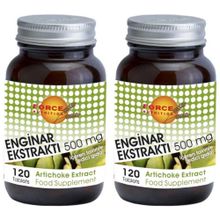 Force Nutrition Artichoke 500 mg 2x120 Tablet