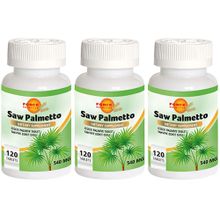 Force Nutrition Saw Palmetto 3x120 Tablet