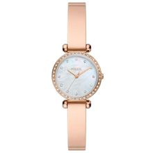 Fossil FBQ3894 Kadın Kol Saati