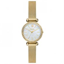 Fossil FBQ3898 Kadın Kol Saati
