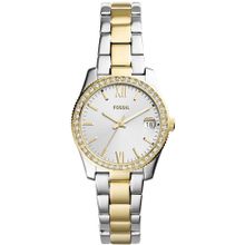 Fossil FES4319 Kadın Kol Saati