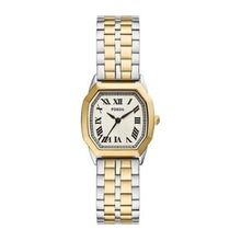 Fossil FES5362 Harlow Kadın Kol Saati
