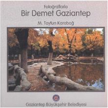 Fotoğraflarla Bir Demet Gaziantep M. Tayfun Karabağ