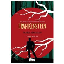 Frankenstein Bez Ciltli - Mary Shelley