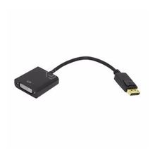 Frisby FA-6640C DSIPLAY PORT-DVI Dönüştürücü Kablo