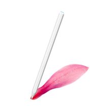 Fuchsia Apple iPad Kablosuz Şarj Olabilen Eğime Duyarlı Avuç İçi Reddetme Özellikli 2. Nesil Kalem