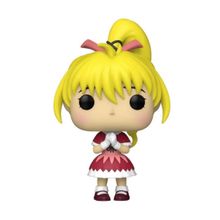 Funko Pop Animation Hunter x Hunter Bısky Biscuit Aksiyon Figürü