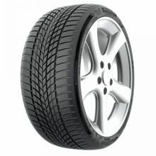 Funtoma 225/50 R17 98V RoadFun Winter Kış Lastiği