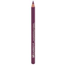 Gabrini 6 Lip ve Eye Pencil