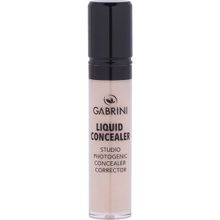 Gabrini Concealer 06 8696814063267 Kapatıcı