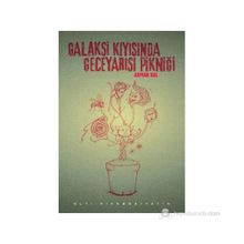 GALAKSI KIYISINDA GECEYARISI PIKNIĞI - ARMAN KAL